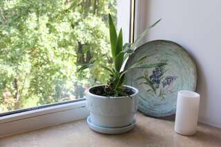 Апартаменты Metro Academia Centre Минск Апартаменты с 1 спальней-59